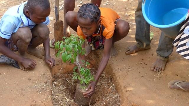Madagascar : sortir de la pauvreté