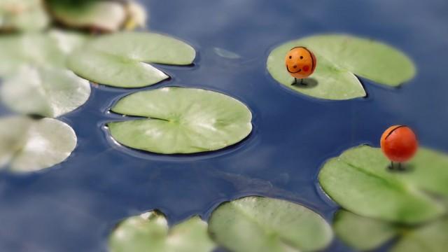 水曜日