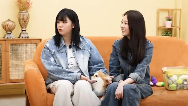 EP.27 | Twice Jeongyeon and Seung-yeon fighting while talking about dogs