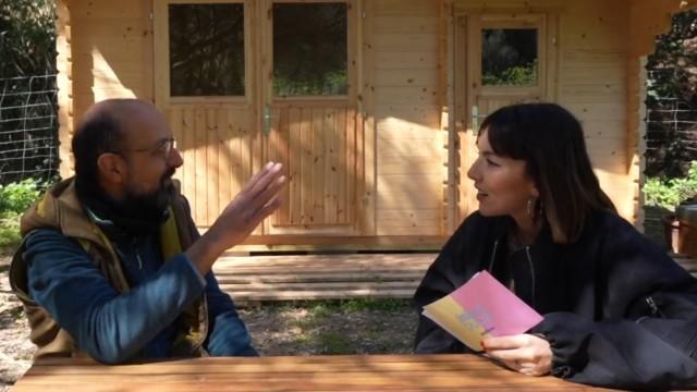 ¿Por qué las abejas no atacan a los apicultores?