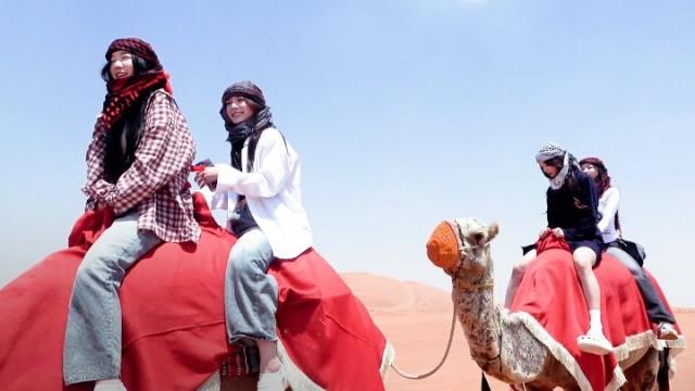 Episodes in Dubai (feat. Camels and the desert) | SIGNAL 240425