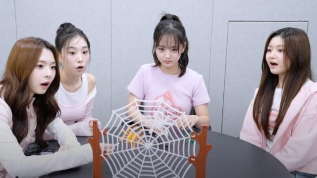 Smart Girl: Board Game War! Who will be the final winner? | SIGNAL 240426
