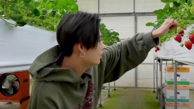 Farm Vlog with Jungwon, Sunghoon & Ni-ki | ENHYPEN VLOG