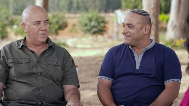 טרמפ גורלי