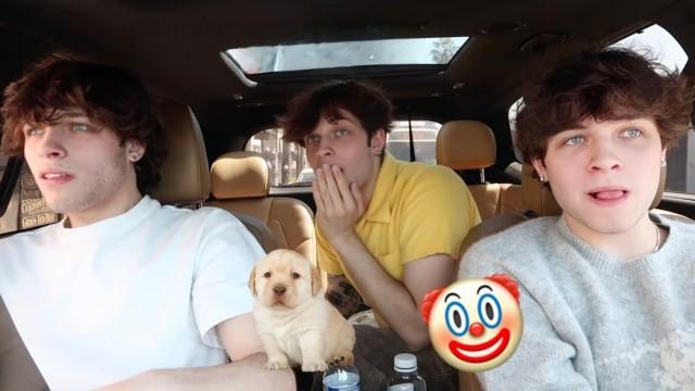 WE SAW A CLOWN DOG???