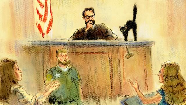 Delinquent Daughters & Cat Custody Battles