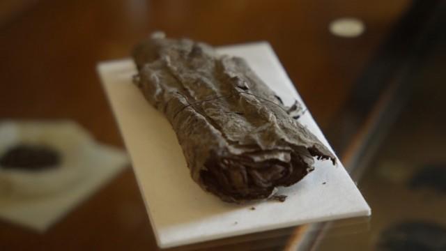 The Lost Scrolls of Pompeii: The New Revelations