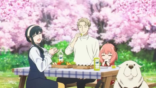 Ayataka Spy x Family Movie Campaign Ayataka de Hotto Hitoiki