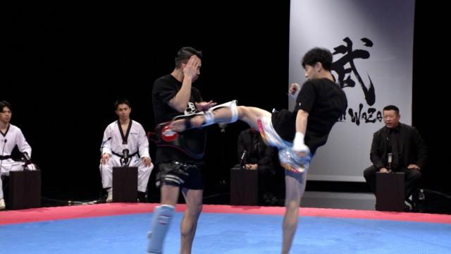 蹴って蹴って蹴りまくる