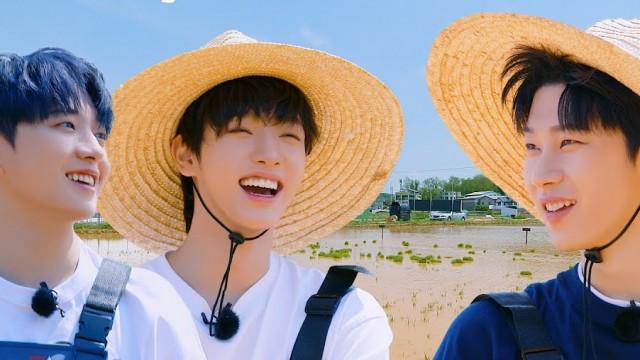 EP.41 Fun(?) summer farming activities