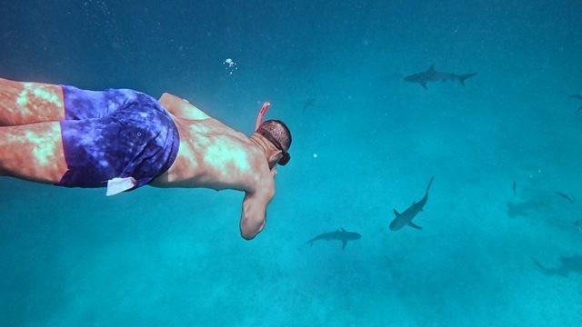 The Bahamas: Natural Wonders of the Caribbean