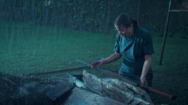 Hallazgo bajo la lluvia
