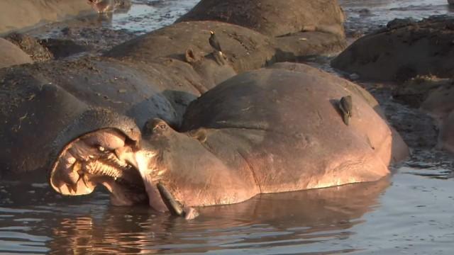 「おたがいにいいことがあります」
