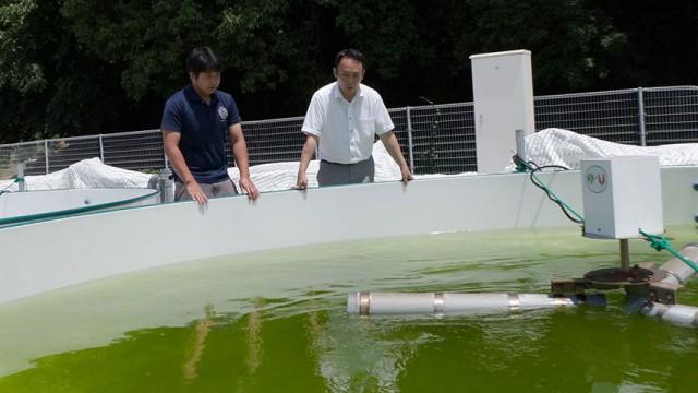 "海の危機"を救う先駆者 ～魚は獲らずに育てる！～
