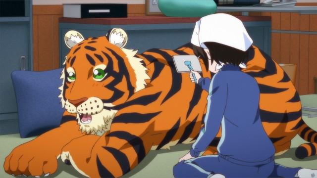 Brushing Makes a Cat Talkative / The Calm Superior / Way To Go!