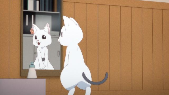 Love Button / The Lovely Pipi-chan / Work
