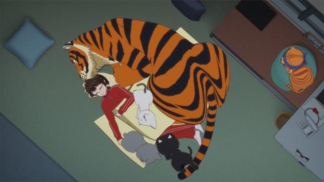 A Story of Warm and Fuzzy Memories / It Depends on the Cat / My Specialty