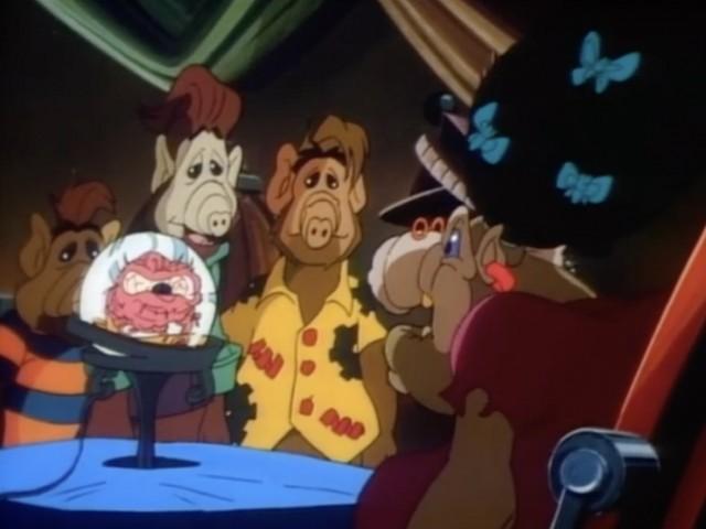 Housesitting for Pokipsi