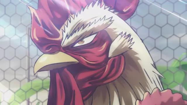 A Rooster Among Cranes