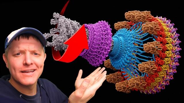 Nature's Incredible ROTATING MOTOR (It’s Electric!)