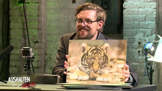 Aushalten: Nicht lachen - Supercut Vol. I (Langfassung)