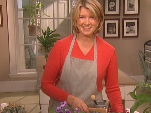 Cleaning Houseplants; Miniature Plant Gardening