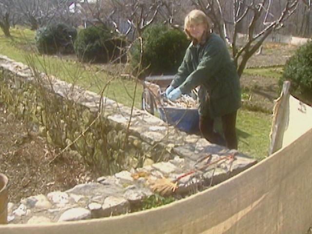 Spring Gardening: Clivia; Cleaning; Building a Cold Frame