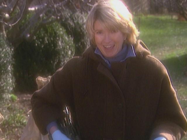 Pruning Fruit Trees; Kindling; Special Kitchen Tools