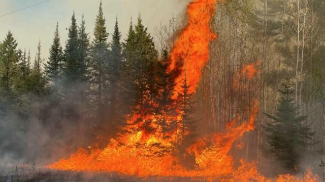 Final Friday 2025, Legislative leaders, Wildfires