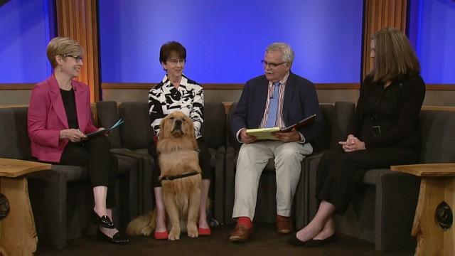 DHS fraud, New tariffs, Service dogs
