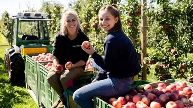 Der Obst-und-Gemüse-Check