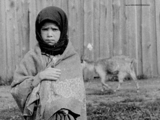 Ukraine 1933, Seeds of Hunger