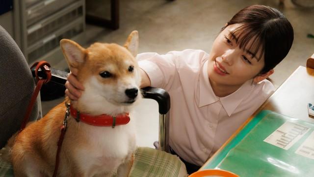 #07 遺留品は…犬!愛犬だけが知る悲恋