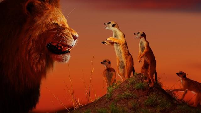 Are Mongooses OP?