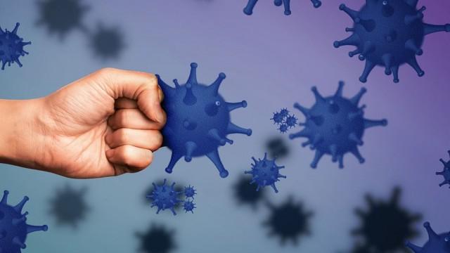 El sistema inmunitario, guardián de la salud