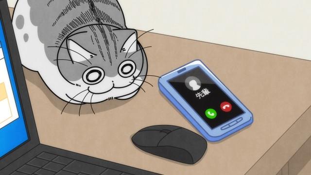 Night 61: Cat Over the Phone
