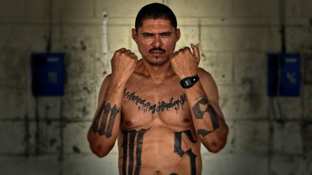 MS-13 