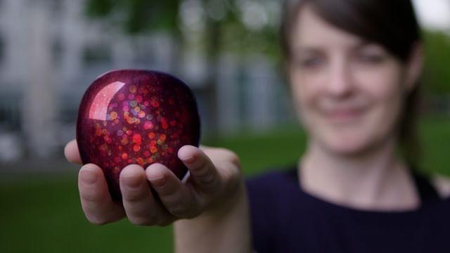 Does Quantum Physics Change Our Reality?