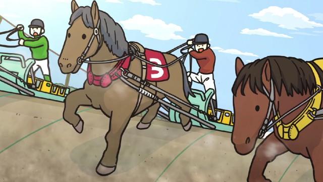 Horses
