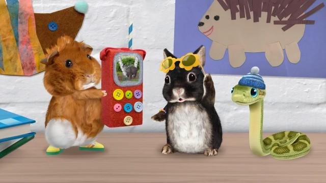 Save the Porcupine! / Save the Runaway Egg!