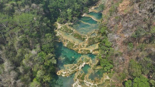 Faszination Erde: Guatemala – Überlebenskampf im Dschungel