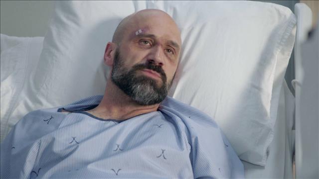 Episode 37