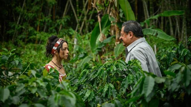 Episodio 33