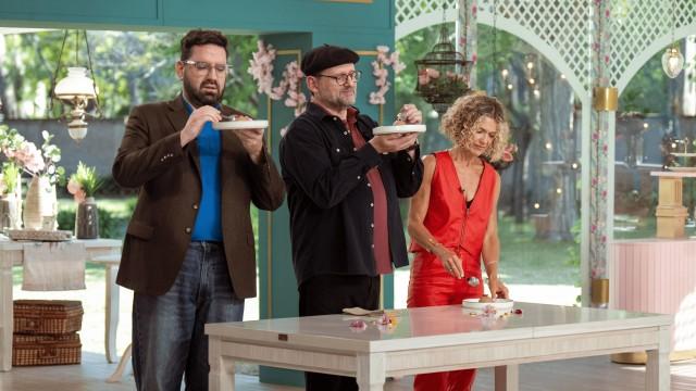 Programa 29