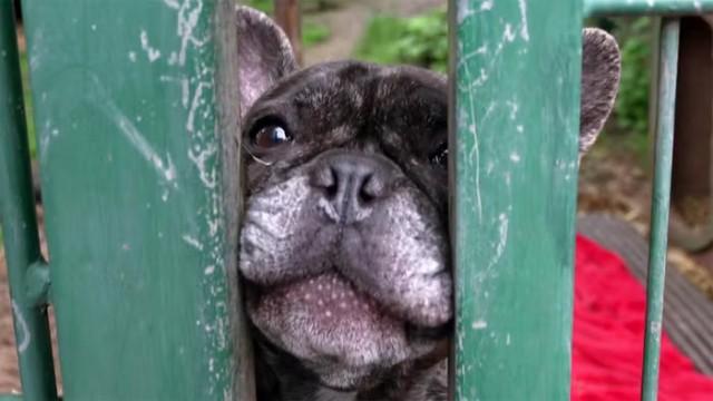 Martin besucht das Tierheim Siegen mit Detlef Steves