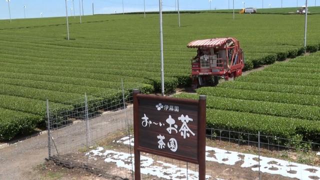 お茶・珈琲の新戦略