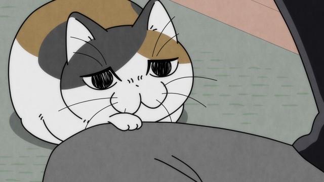 Night 62: A Cat on the Other End of the Line