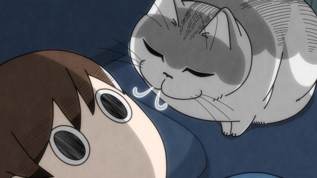 Night 63: A Cat Wakes Us With His Breaths