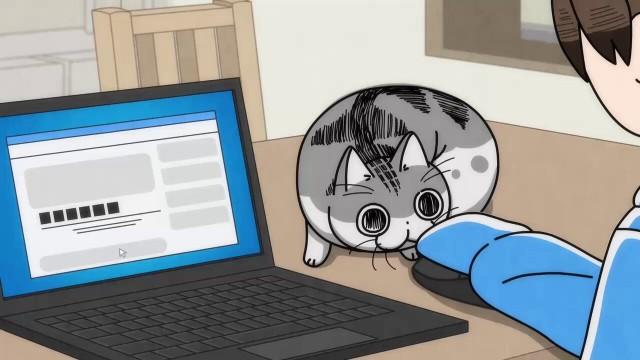 Night 64: A Cat Fixed on My Mouse Moving