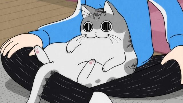 Night 65: A Cat Who Cuts Off His Claw-Trimming